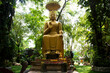 Ancient buddha statue in Dhamma practice area for thai practitioner meditate retreat respect pray holy observe religious precepts at Wat Maheyong antique temple on April 7, 2024 in Ayutthaya, Thailand