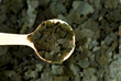 Dry food for aquarium fish green on a wooden spoon compound fish feed flakes. Top view.
