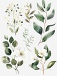 © Alex - Delicate Floral Illustrations for Wedding Stationery Generative AI