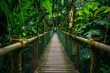 an old bamboo bridge stretching across dense jungle foliage in a tropical rainforest