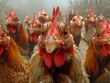 Engaging Chicken Cluster: A Whimsical Scene