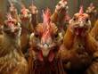 Lively Chicken Cluster: A Charming Display