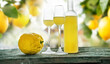 Bottle limoncello and two glasses standing on weathered wooden table. Atmospheric background still life with lemon trees. Close-up.