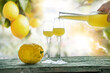 Limoncello poured into glasses standing on weathered wooden table. Atmospheric background still life with lemon trees.