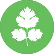 Coriander logo. Isolated coriander on white background