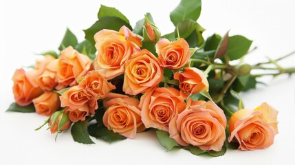 Wall Mural - Orange roses on white surface