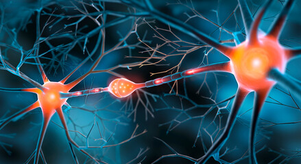 two interacting nerve cells connected with synapse - 3d illustration