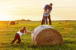 Young cheerful family summer vacation in the village mowing hay in a sunny field