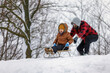 Young happy father and his little son enjoying a sledge ride in a beautiful snowy winter park. Horizontal photo