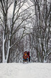 Father with his son on a mountain with big trees, having fun sledding in winter