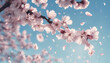 branch of cherry blossoms is blowing in the wind