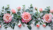 Group of Pink Roses With Green Leaves