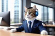 Businessman's cat in a suit, wearing headset calling  talk by webcam in online chat. Customer support service..