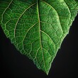 Detailed close up of a synthetic leaf, bioengineering and green energy synthesis
