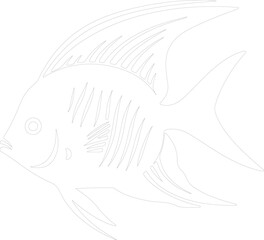 angelfish outline