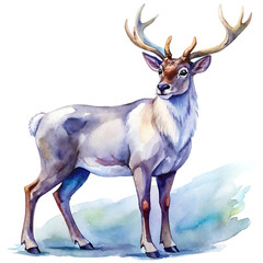  There is a deer that is standing in the watercolor