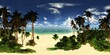 Tropical beach with palm trees at sunset. HDRI . equidistant projection. Spherical panorama. panorama 360. environment map, landscape, 3d rendering