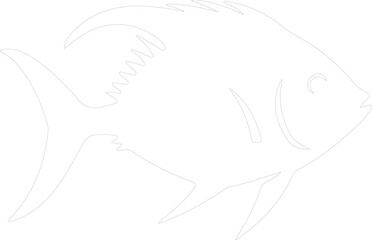 pompano outline