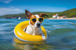 Jack russell dog in sunglasses, swimming in the swimming pool. Holiday, vacation concept.