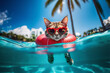 Happy animals cat swimming in the swimming pool on resort on background of palm trees on a sunny day..