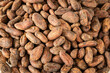Dry cocoa seeds. Organic healthy organic food, Concept, cocoa prices, High content of magnesium and theobromine, Food industry for making chocolate, drinks, cakes and ice cream