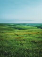 Canvas Print - Green rolling hills with flowers