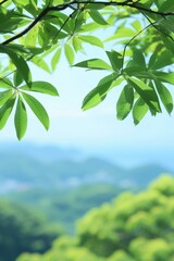 Wall Mural - Green leaves of a tree with a blurred background of a mountain range