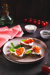 Wall Mural - Appetizing crostini on rye bread with ricotta and tomatoes on a plate vertical view