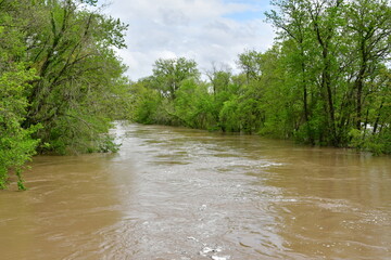 Canvas Print - Flooded River