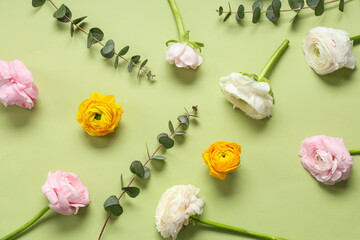 Wall Mural - Beautiful ranunculus flowers and eucalyptus on green background