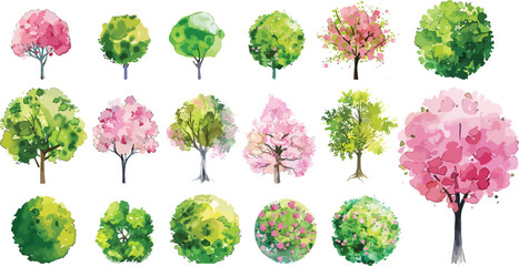 Wall Mural - Watercolor of  pink and green blooming tree top view isolated on white background for landscape plan and architecture drawing. Elements for garden , botanical plan. Vector watercolor of tree top view