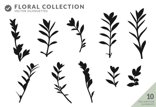 Plant silhouettes Vector set of high quality plants for illustration modern art flat or transparent png background