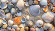 Top view of a diverse assortment of colorful seashells scattered on a sandy beach, showcasing a variety of patterns, sizes, and shapes in natural sunlight