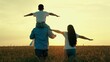 © zoteva87 - Boy on dad shoulders dad, mom play together in wheat field. Son on dad shoulders, mom holding son hand, family walk in nature. Family agricultural business. Father mother child traveling together