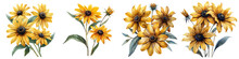 Black-Eyed Susan Flowers Hyperrealistic Highly Detailed Isolated On Transparent Background Png File