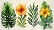 Floral foliage, tropical leaves, artificial plants, Botanical art design for wedding logos, wall art, canvas prints, invite cards.