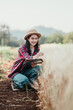 © Satori Studio - Female farmer in a straw hat is examining and taking notes on the wheat growth in a field during early summer.