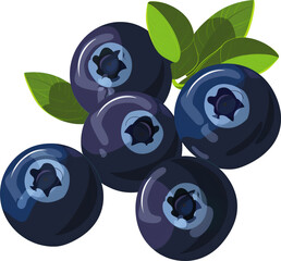 Wall Mural -  Blueberries cartoon isolated.