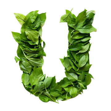 Word shape from leave A-Z