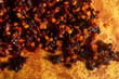 Mixed fruit and spices spread on bread dough preparation for making cinnamon mix fruit bun, food background texture.