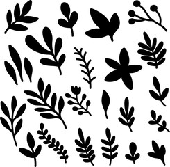 Wall Mural - Set of hand drawn leaves, branches, flowers, flourishes. Design element for banner, sign, poster, decoration. Vector illustration