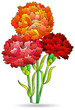 A stained glass illustrations with bouquet of carnations, flowers isolated on a white background