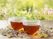cups of herbal tea and dry flowers on meadow background