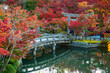 autumn foliage at Eikando Zenrinji Temple in Kyoto, Kansai, Japan