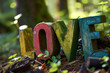 wooden colorful love letters standing in the nature