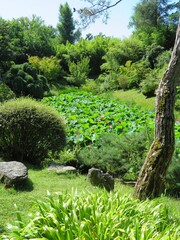 Poster - jardin