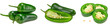 Jalapeno chili peppers isolated on white background Capsicum annuum fruits. clipping path
