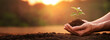 © Dirty Pure - hands holding and caring soil and a green sprouting plant, growth young plant, close-up shots nature background, concept eco earth day, green world day, growing plants