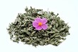 © svehlik - Dried herb of  Cistus incanus, known as rock rose. Traditional curative herb with many external and internal benefits, white background. Decorated with fresh cistus flower.
