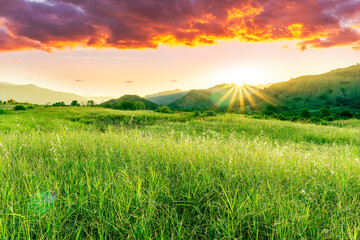 summer of spring landscape of green grass meadow with great beautiful mountains and awersome golden cloudy sunset